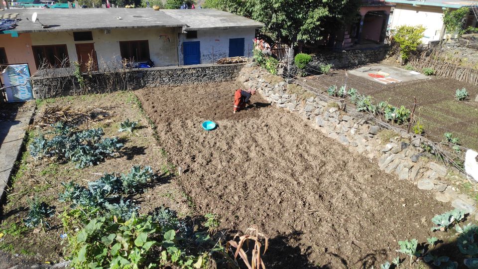 Photo of Pantwari, Uttarakhand, India by Beparwah Parinda