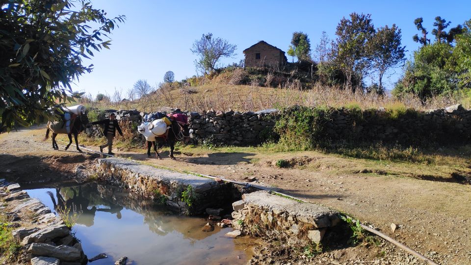 Photo of Nag Tibba Trek - The best birthday gift ever for myself by Beparwah Parinda