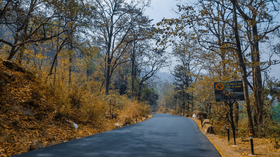 Photo of Pauri, Uttarakhand, India by Beparwah Parinda
