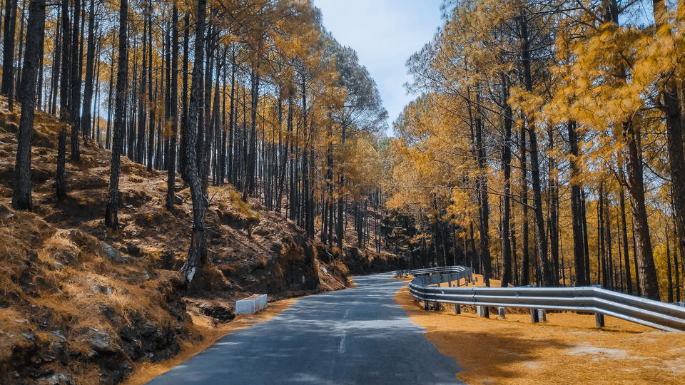 Photo of Pauri, Uttarakhand, India by Beparwah Parinda