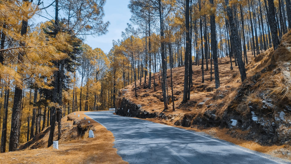 Photo of Pauri, Uttarakhand, India by Beparwah Parinda