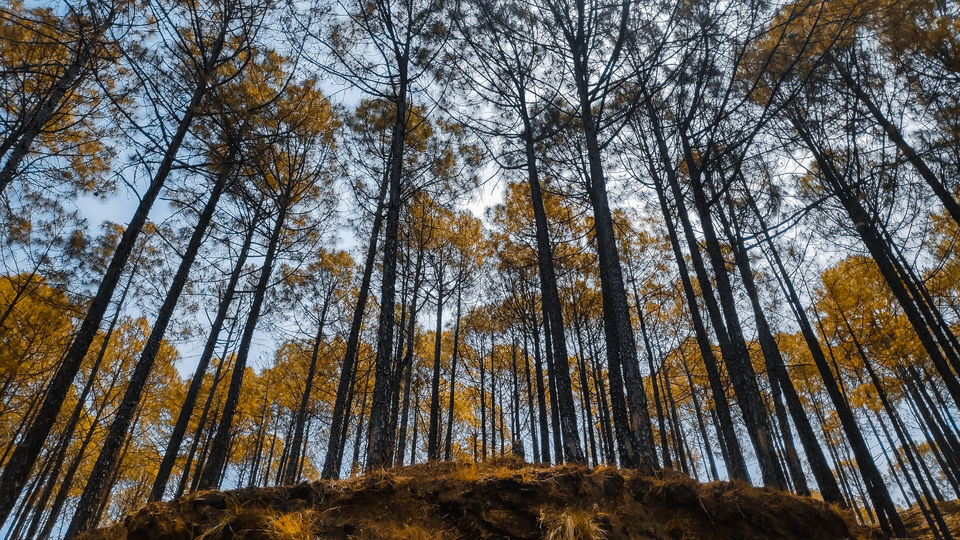 Photo of Pauri, Uttarakhand, India by Beparwah Parinda