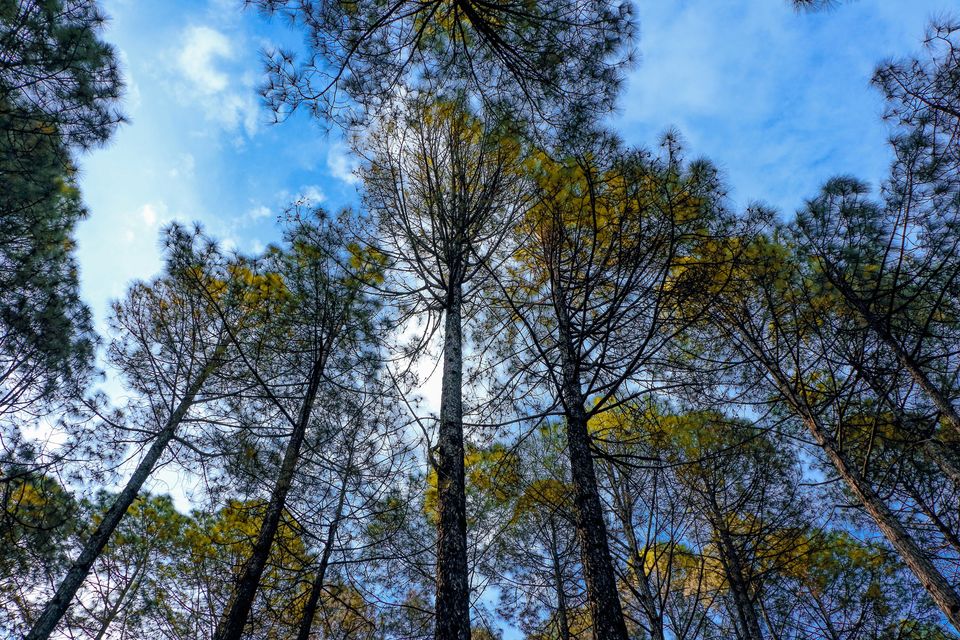 Photo of Pauri, Uttarakhand, India by Beparwah Parinda