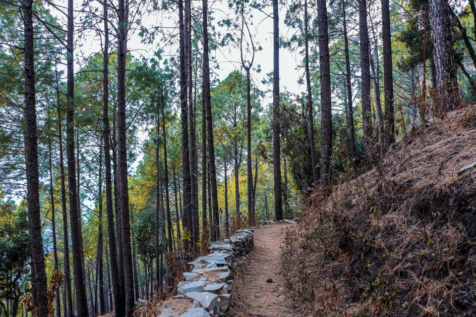 Photo of Pauri, Uttarakhand, India by Beparwah Parinda