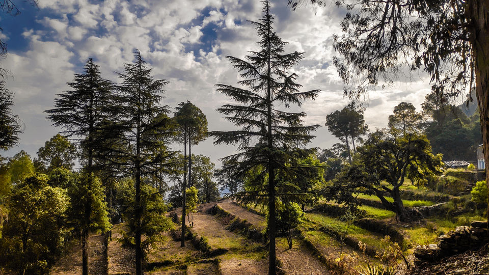 Photo of Pauri, Uttarakhand, India by Beparwah Parinda