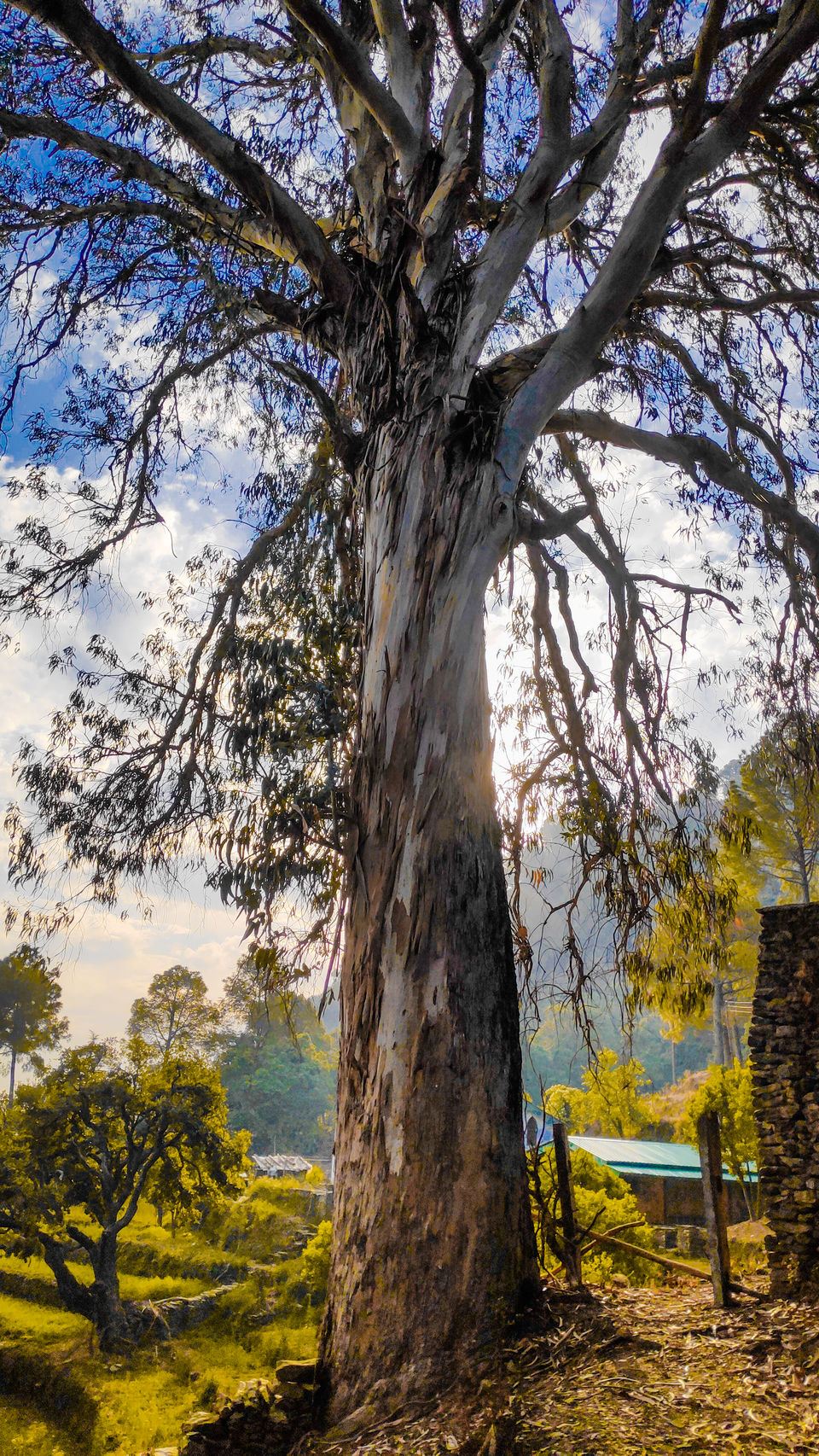Photo of Pauri, Uttarakhand, India by Beparwah Parinda