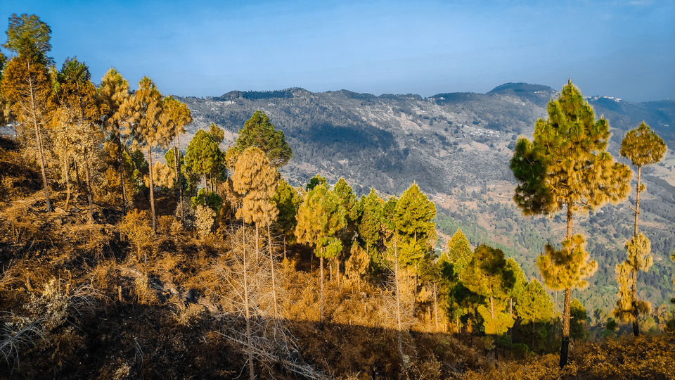 Photo of Pauri - A solo Trip to rejuvenate myself by Beparwah Parinda