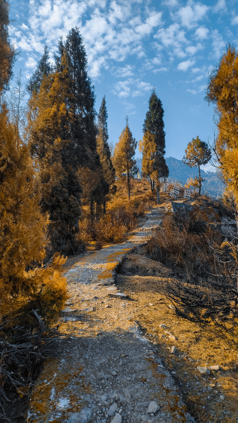 Photo of Pauri - A solo Trip to rejuvenate myself by Beparwah Parinda