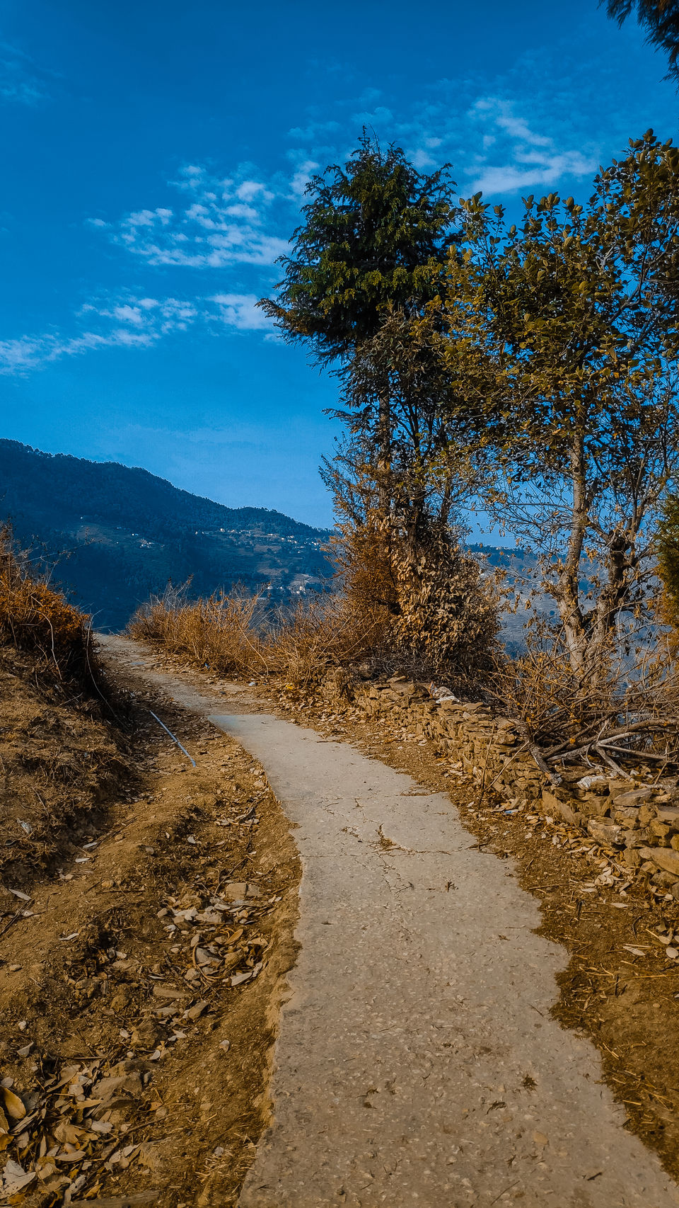Photo of Pauri - A solo Trip to rejuvenate myself by Beparwah Parinda