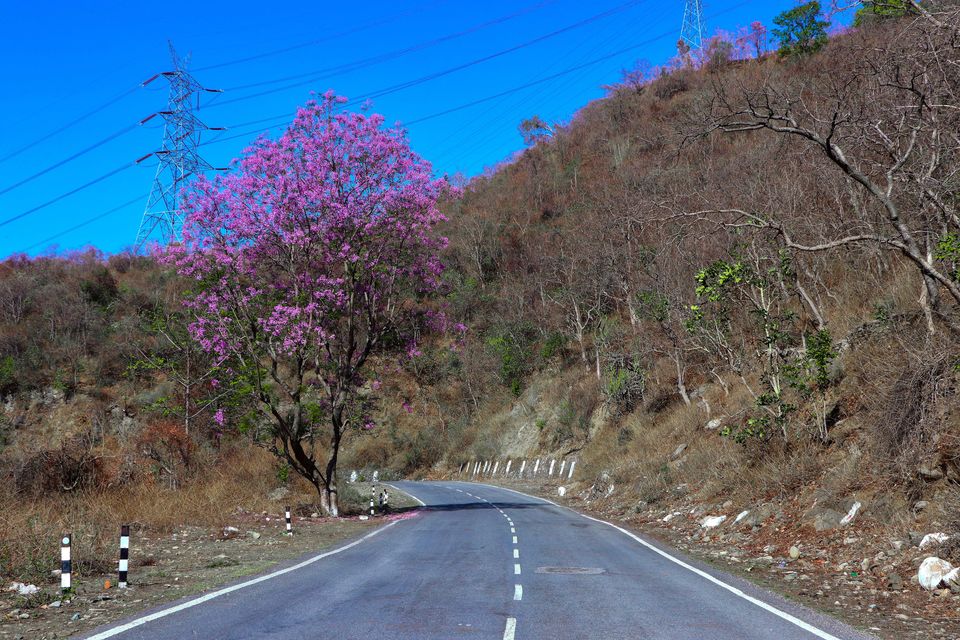 Photo of Pauri - A solo Trip to rejuvenate myself by Beparwah Parinda