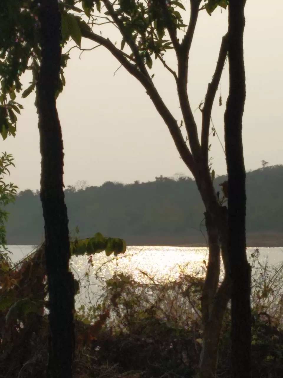 Photo of Dhamtari by Sushmita Kullu
