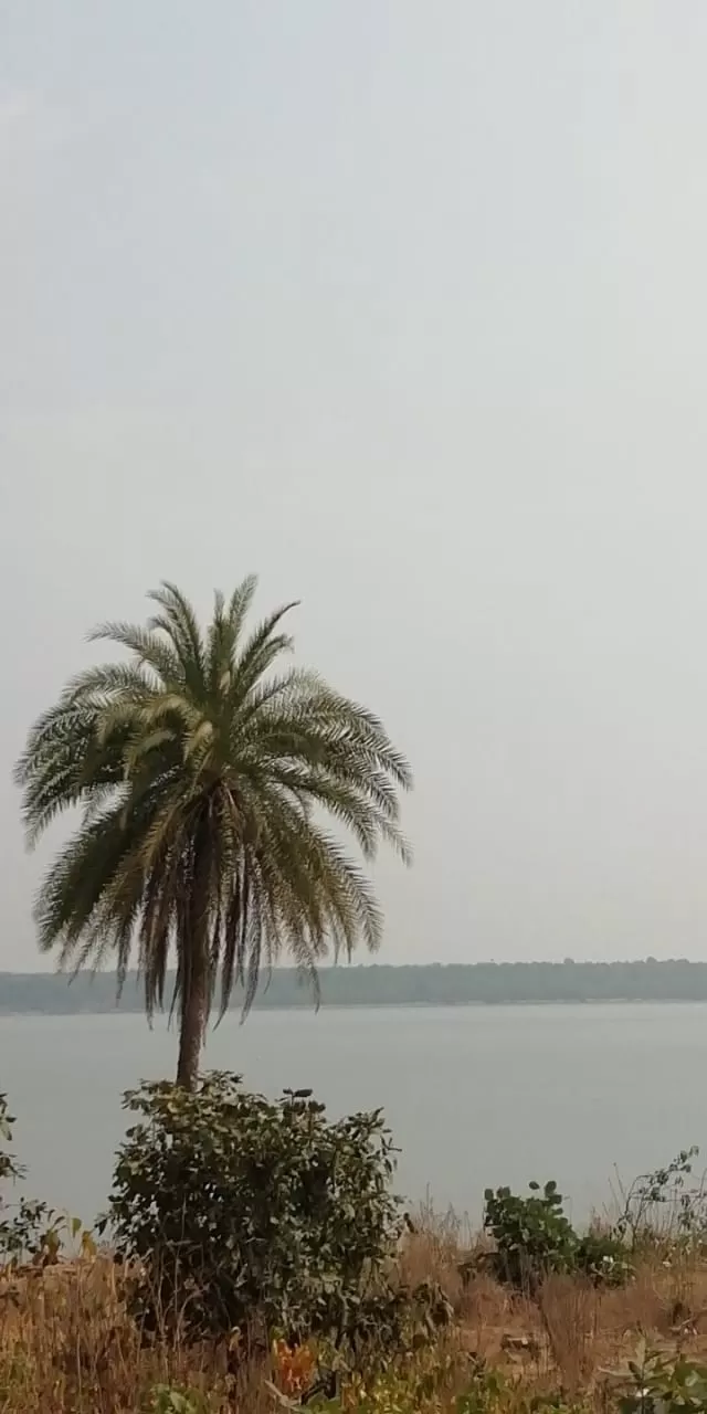 Photo of Dhamtari by Sushmita Kullu