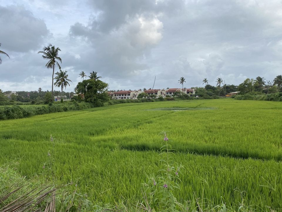 Photo of The one with the PLAN: GOA by Prateek Singh