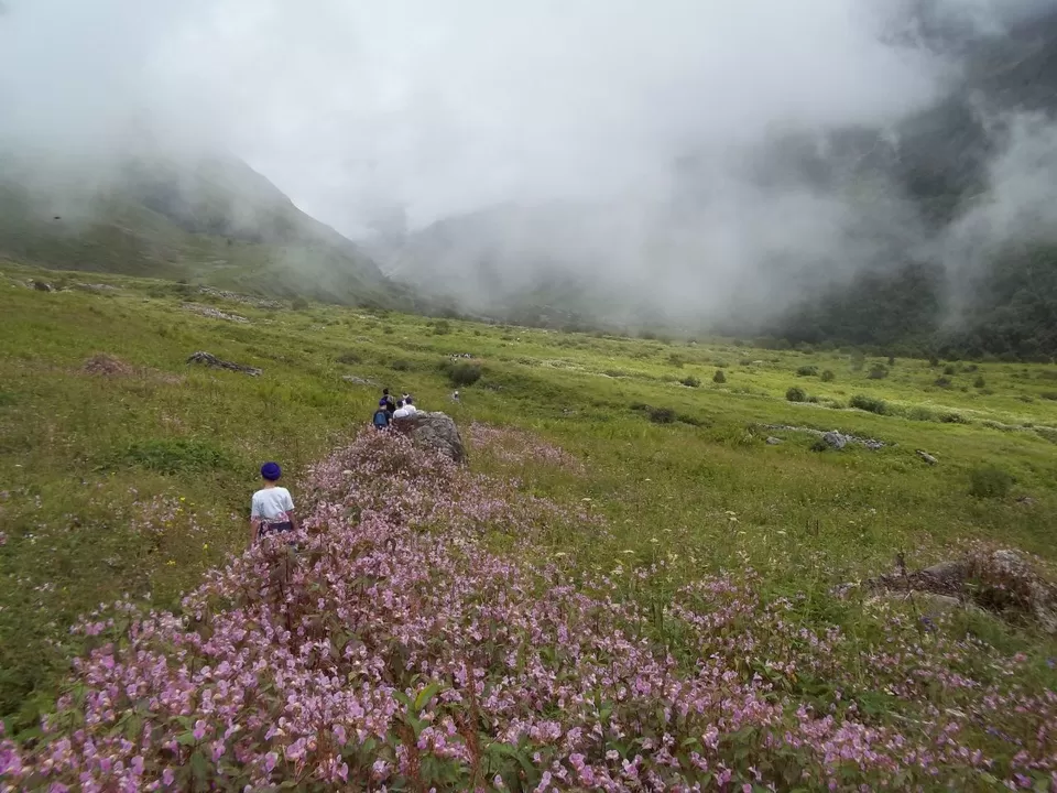 Photo of Valley of Flowers National Park, Uttarakhand, India by SWARNABHA DUTTA