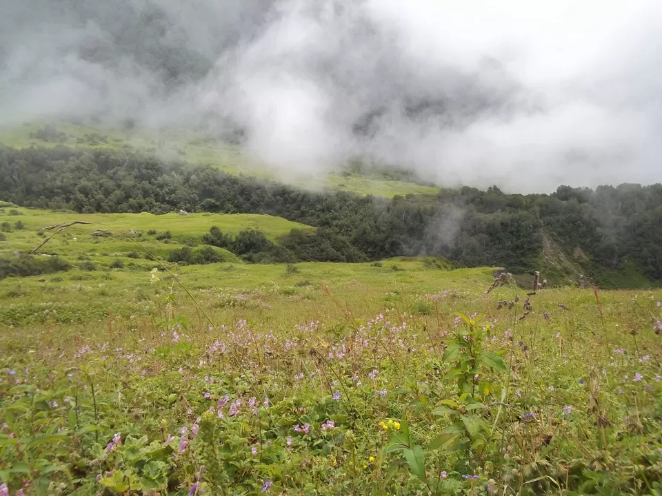 Photo of Valley of Flowers National Park, Uttarakhand, India by SWARNABHA DUTTA