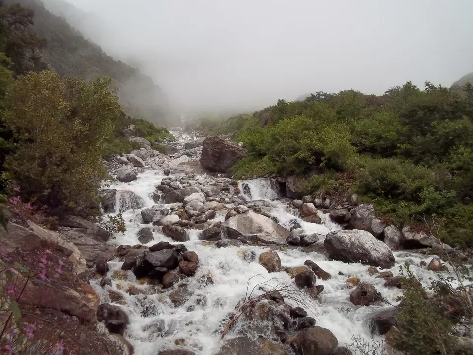 Photo of Valley of Flowers National Park, Uttarakhand, India by SWARNABHA DUTTA