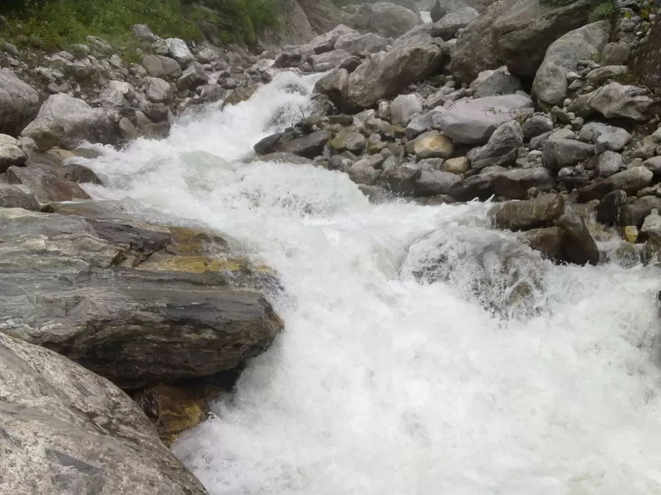 Photo of Valley of Flowers National Park, Uttarakhand, India by SWARNABHA DUTTA