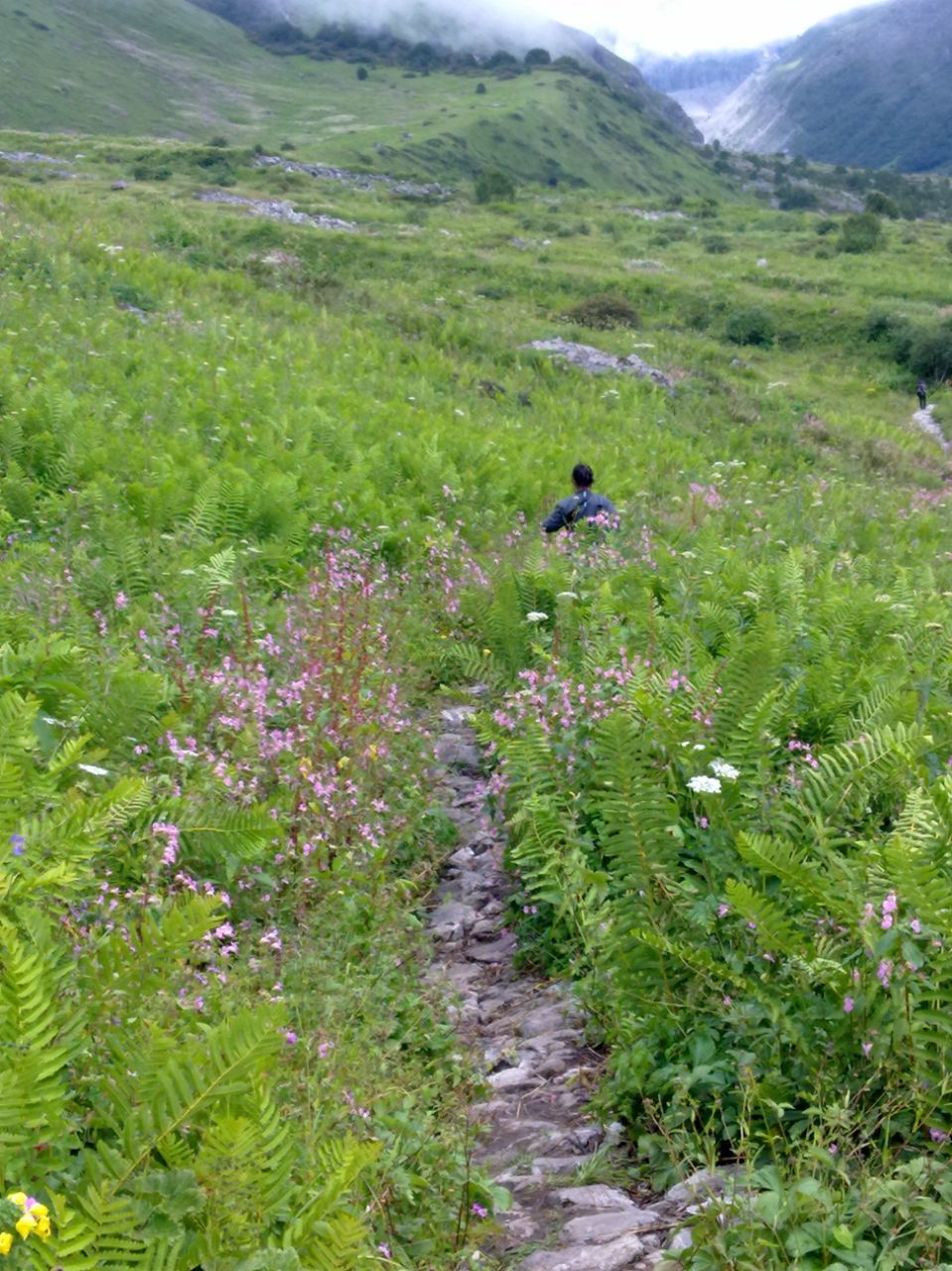 Photo of Ghangaria, Uttarakhand, India by SWARNABHA DUTTA