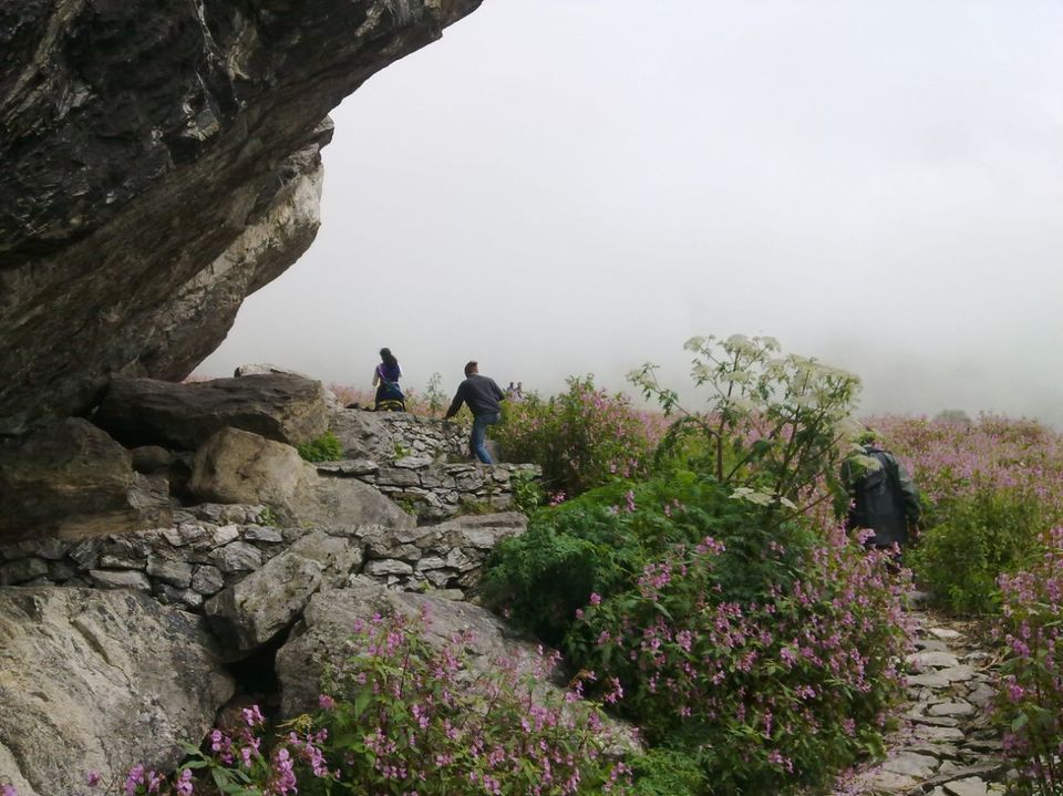 Photo of Ghangaria, Uttarakhand, India by SWARNABHA DUTTA