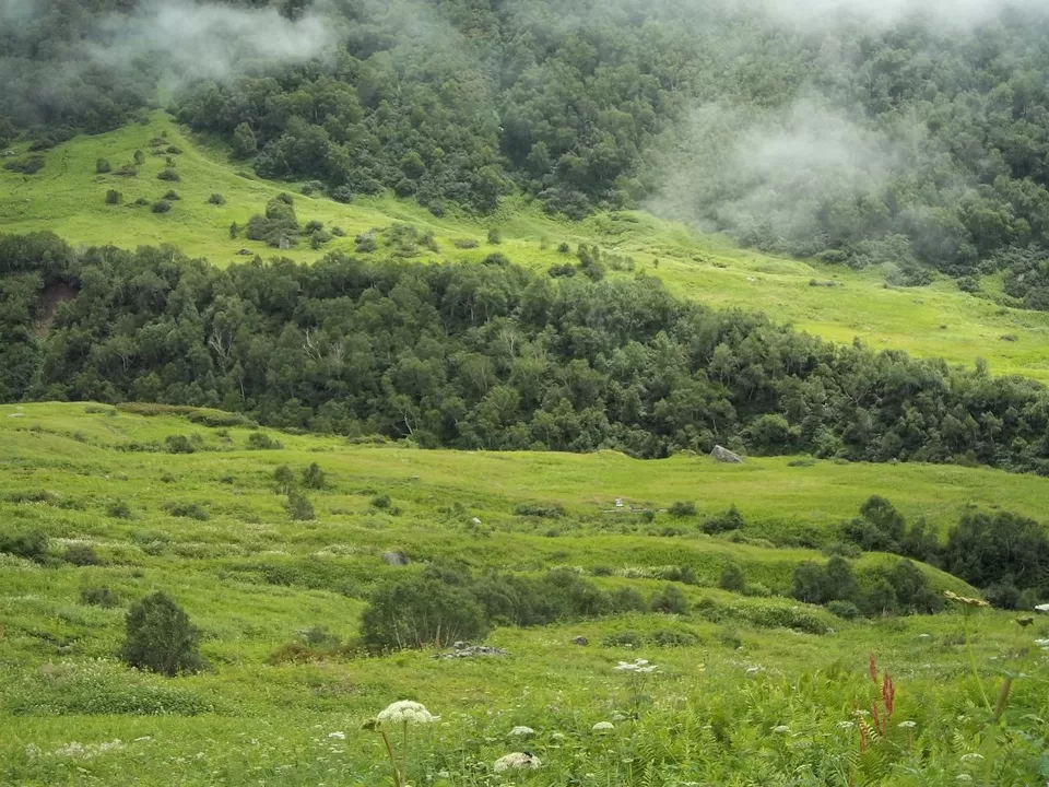 Photo of Valley of Flowers National Park, Uttarakhand, India by SWARNABHA DUTTA