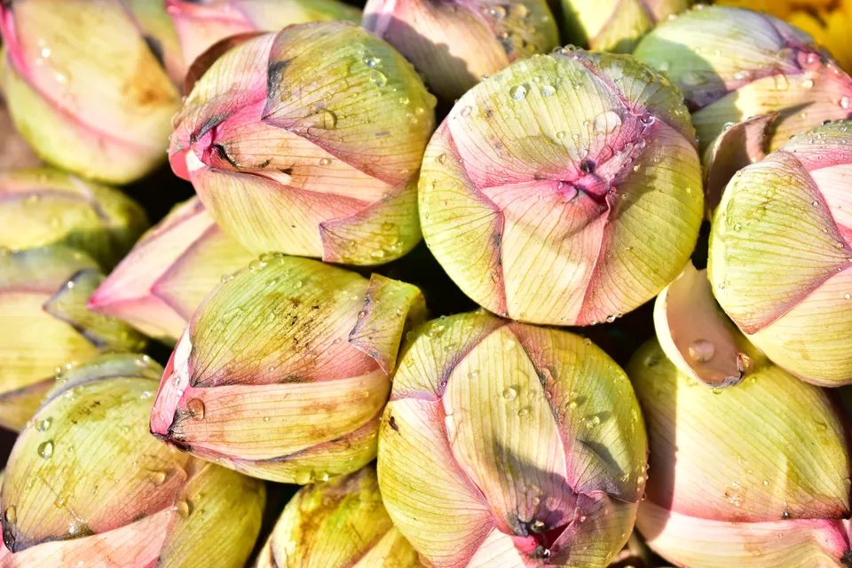 Photo of Mullick Ghat Flower Market, Strand Bank Road, Fairley Place, BBD Bagh, Kolkata, West Bengal, India by SWARNABHA DUTTA