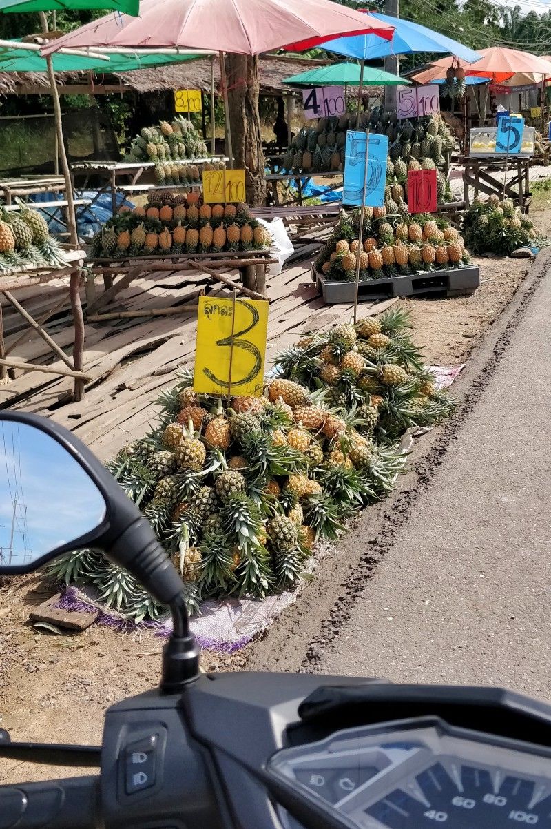 Photo of One Week in Mainland Trang Province (South Thailand under INR 1000 per day) #notonTripoto 2/75 by Rishabh Dev