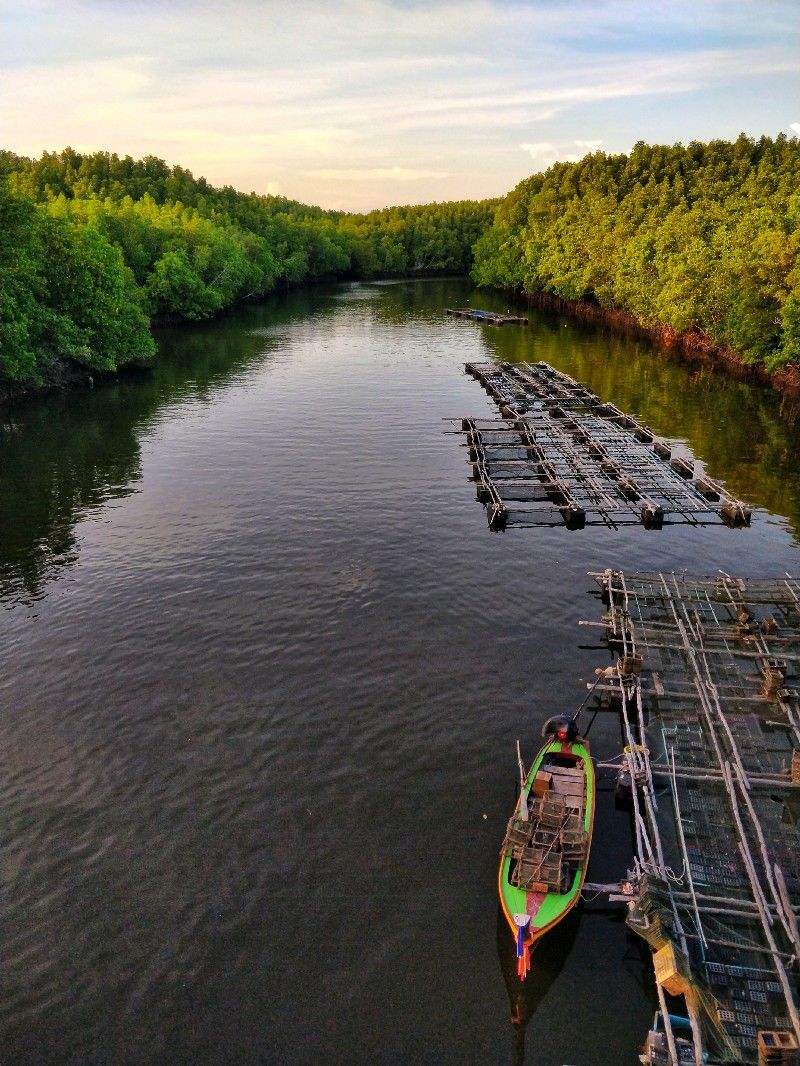 Photo of One Week in Mainland Trang Province (South Thailand under INR 1000 per day) #notonTripoto 7/75 by Rishabh Dev