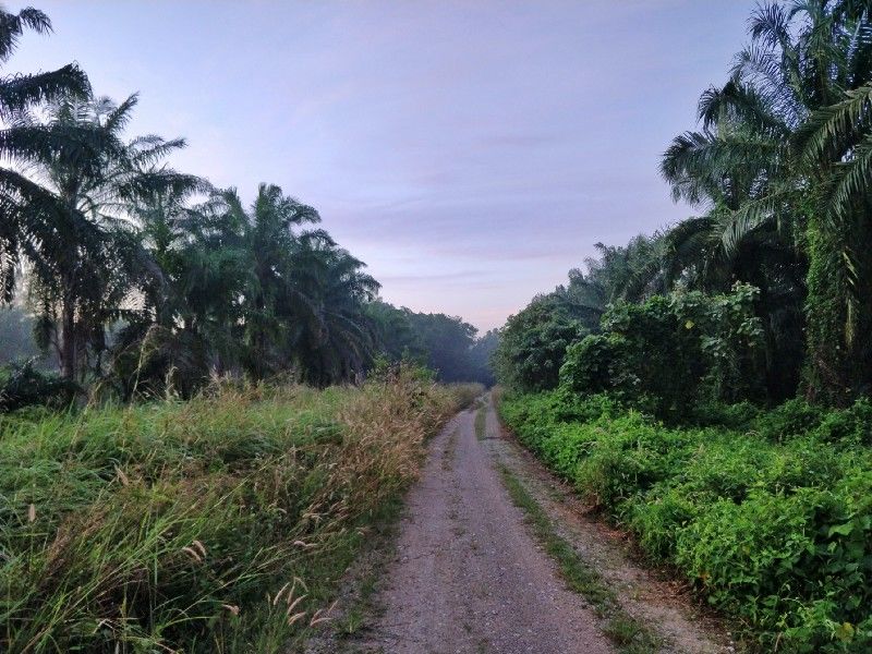Photo of One Week in Mainland Trang Province (South Thailand under INR 1000 per day) #notonTripoto 12/75 by Rishabh Dev