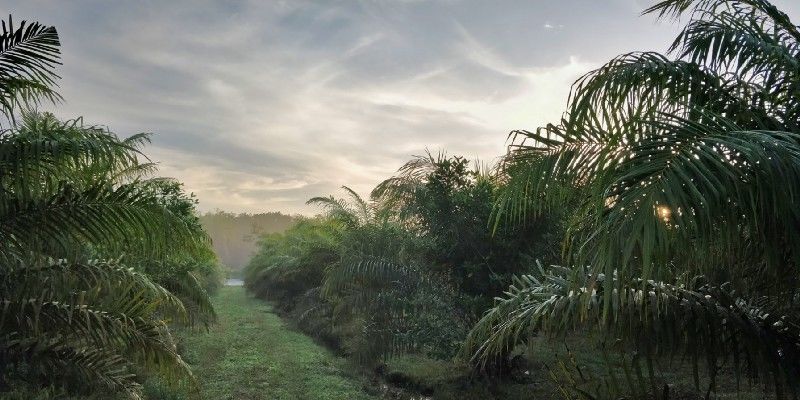 Photo of One Week in Mainland Trang Province (South Thailand under INR 1000 per day) #notonTripoto 13/75 by Rishabh Dev