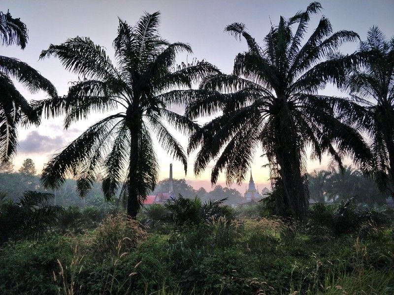 Photo of One Week in Mainland Trang Province (South Thailand under INR 1000 per day) #notonTripoto 15/75 by Rishabh Dev