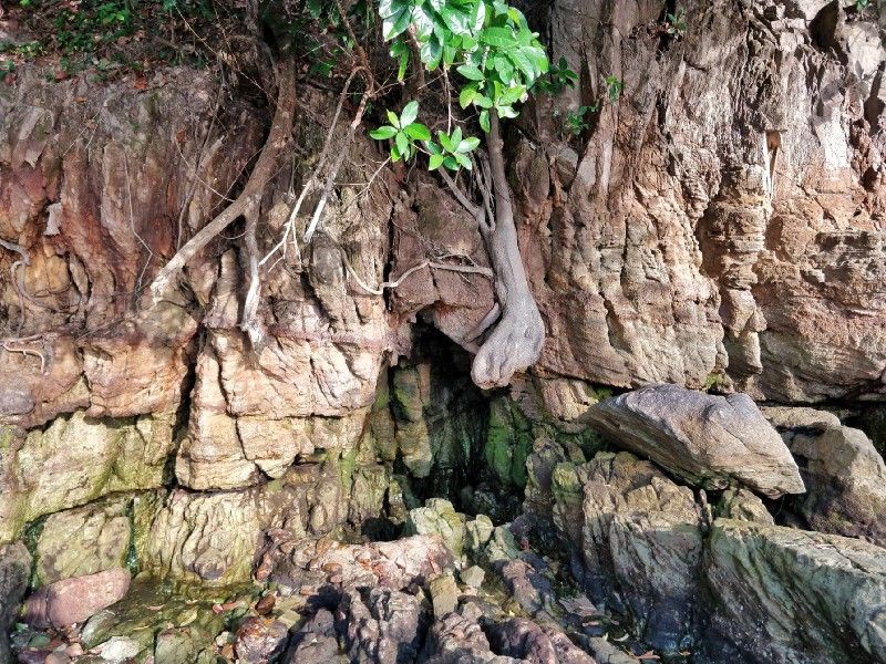 Photo of One Week in Mainland Trang Province (South Thailand under INR 1000 per day) #notonTripoto 23/75 by Rishabh Dev