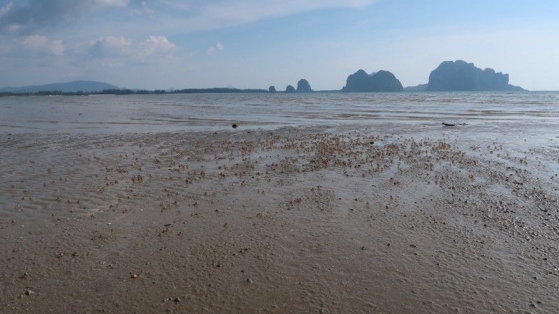 Photo of One Week in Mainland Trang Province (South Thailand under INR 1000 per day) #notonTripoto 38/75 by Rishabh Dev