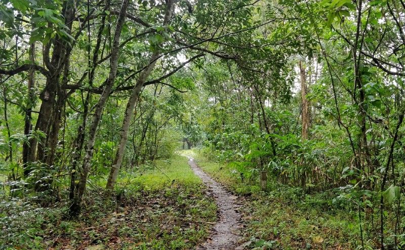Photo of One Week in Mainland Trang Province (South Thailand under INR 1000 per day) #notonTripoto 69/75 by Rishabh Dev