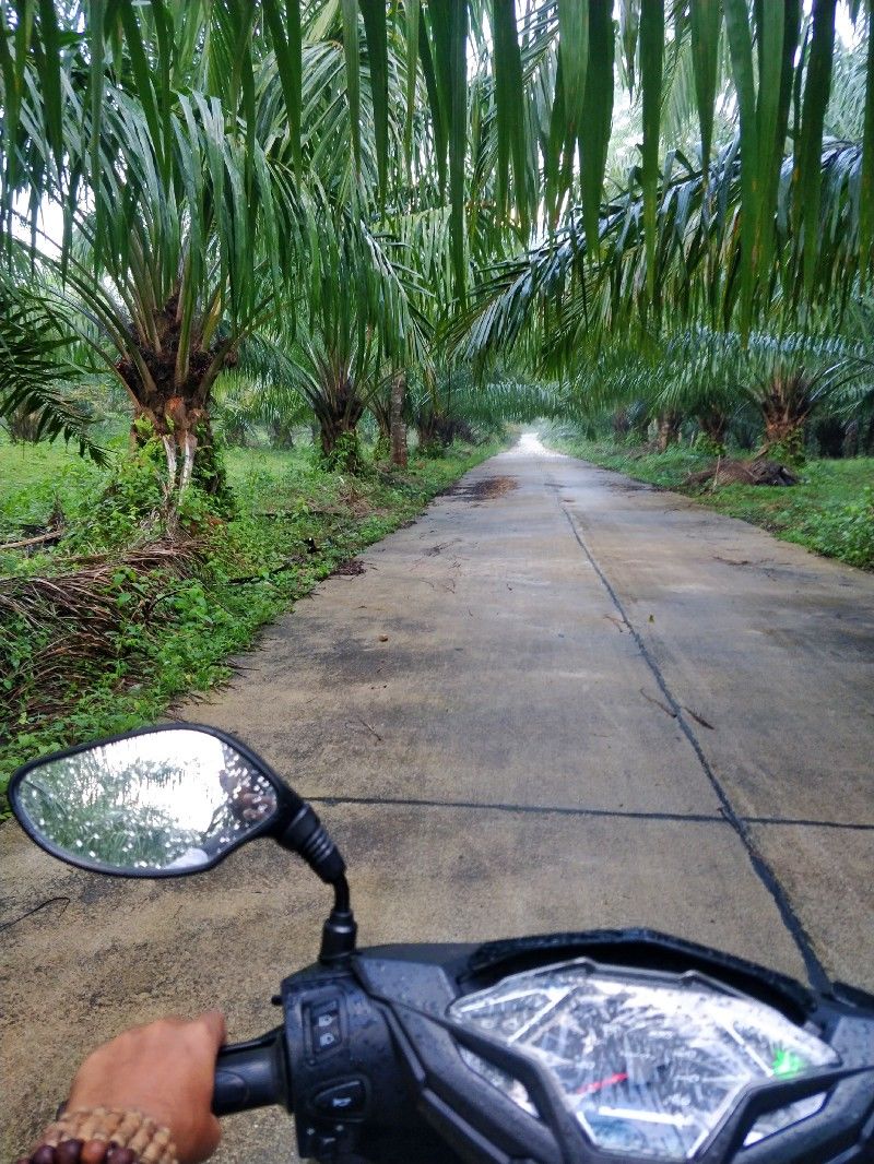Photo of One Week in Mainland Trang Province (South Thailand under INR 1000 per day) #notonTripoto 71/75 by Rishabh Dev