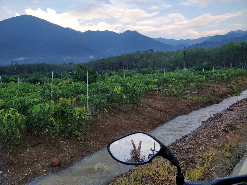 Photo of One Week in Mainland Trang Province (South Thailand under INR 1000 per day) #notonTripoto 73/75 by Rishabh Dev