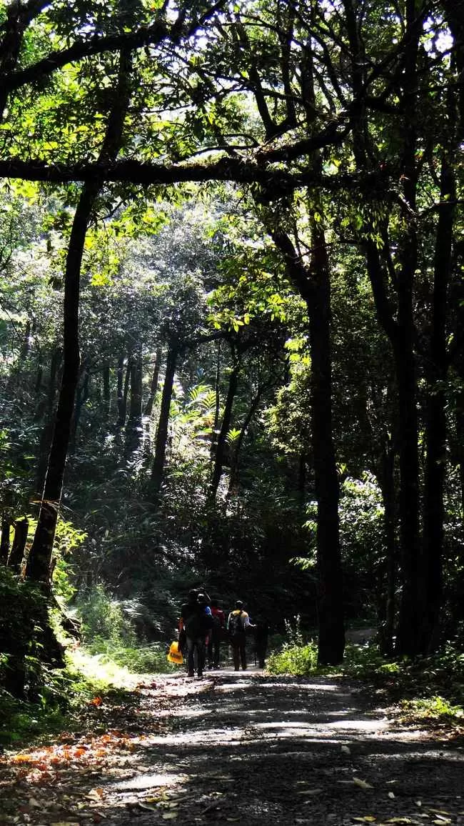 Photo of 10 Best two day trekking places in Karnataka by sagar sakre