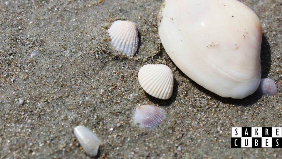 Photo of This beach in South Goa will make you forget the beaches in North Goa by sagar sakre