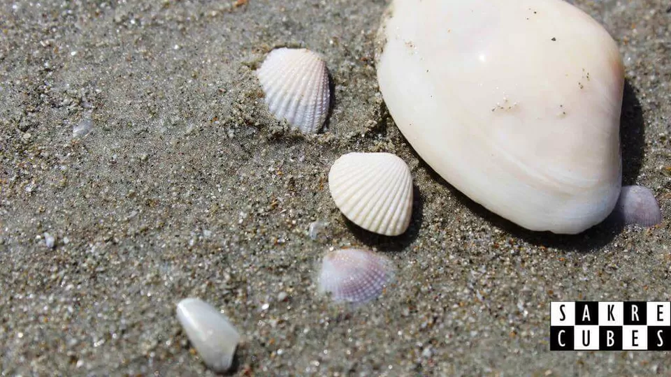Photo of This beach in South Goa will make you forget the beaches in North Goa by sagar sakre