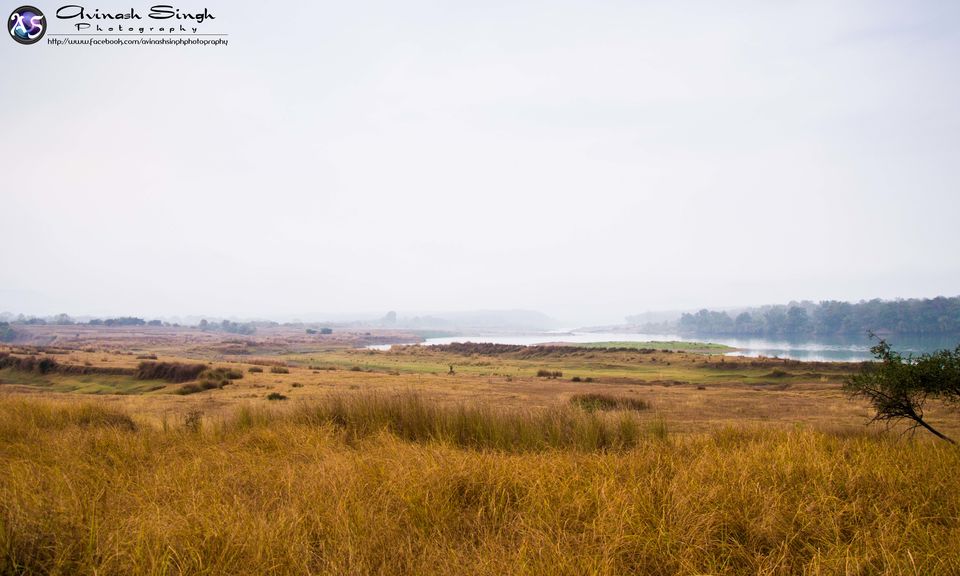 Photo of Khajuraho + Panna Tiger Safari 6/15 by Avinash Singh