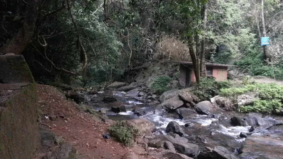 Photo of Sirimane Water Falls, Yedadalli, Karnataka, India by TrailblazerVinay