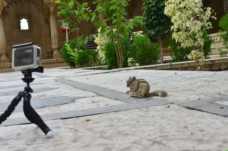 Photo of Rajasthan, India by TrailblazerVinay