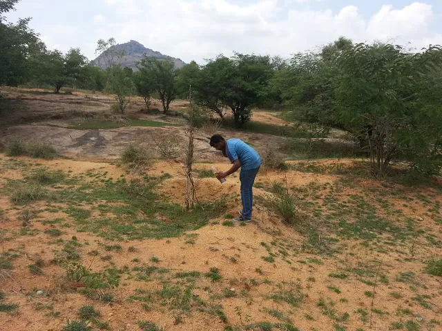 Photo of Channarayanadurga- A Long Drive & Trek Up the Hill Fort by TrailblazerVinay