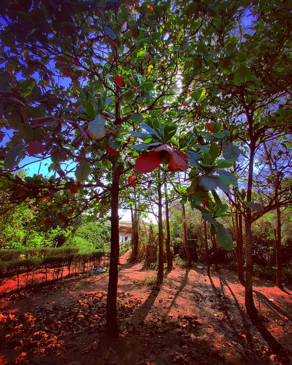 Photo of Mandrem Beach Goa, Mandrem, Goa, India by Riya Bali