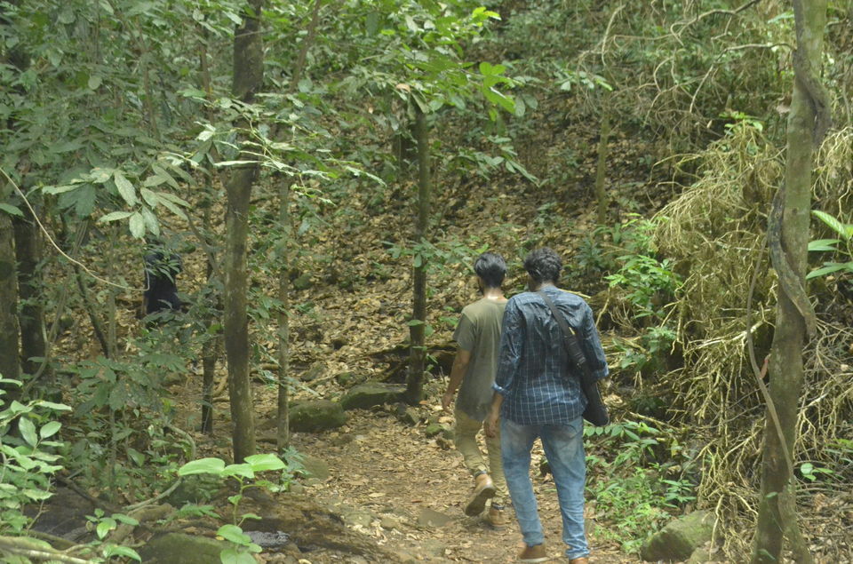 Photo of Awesome Trek To Ranipuram{OOTY of Kerela} by Dr.Punith Kumar S