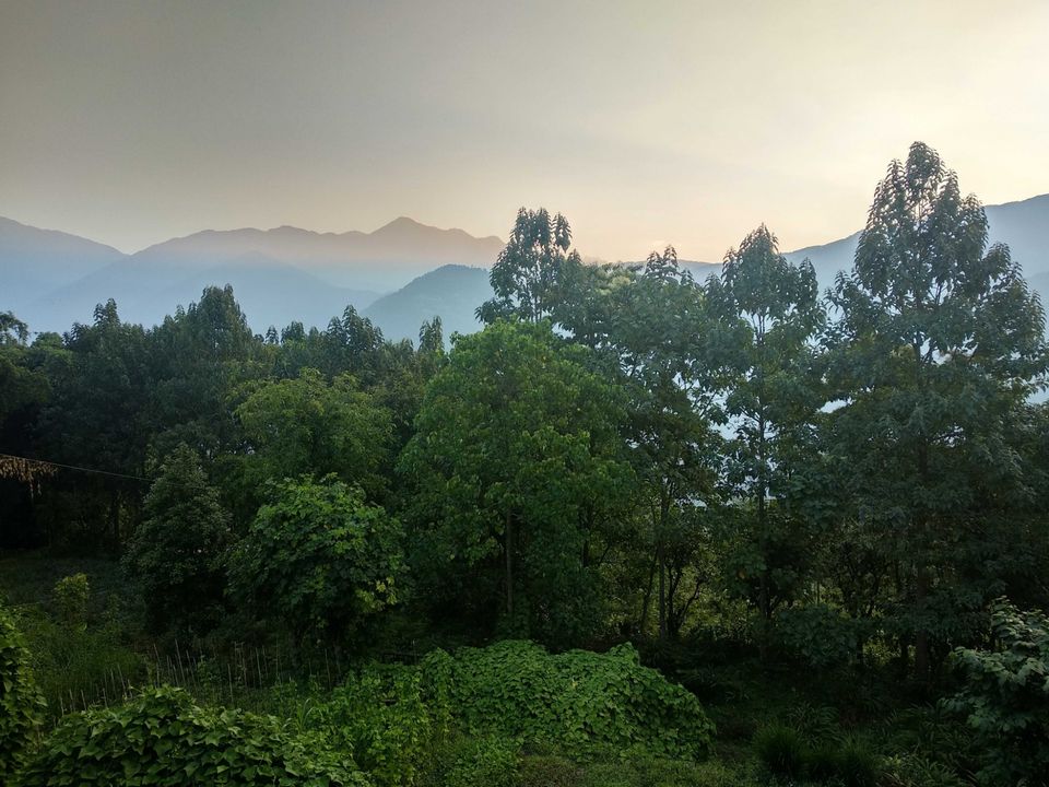 Photo of Karma Homestay, Aritar, Sikkim, India by Debopriyo Das