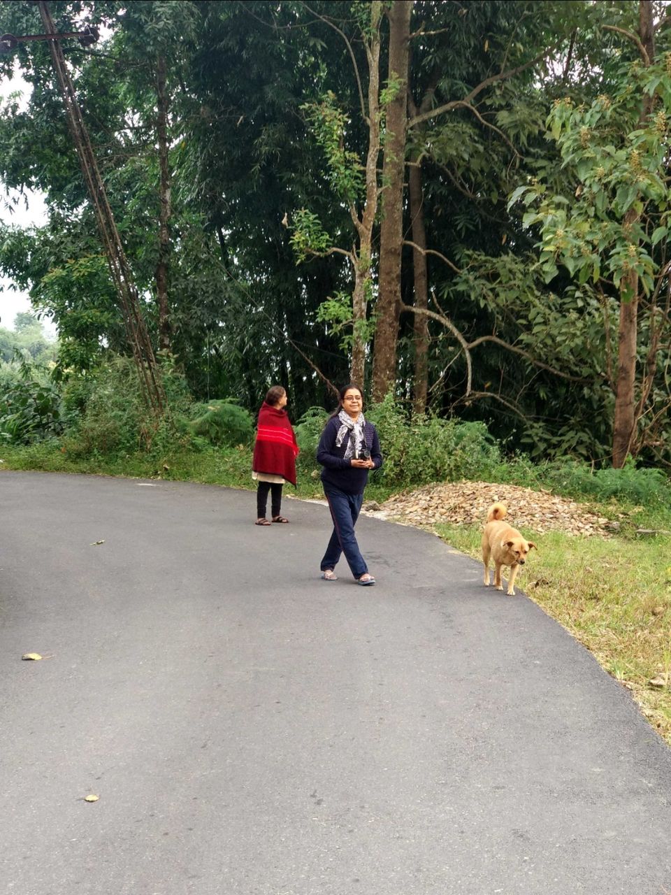 Photo of East Sikkim diaries- Trail of Three Musketeers by Debopriyo Das