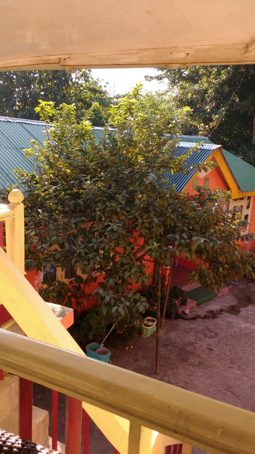 Photo of Karma Homestay, Aritar, Sikkim, India by Debopriyo Das