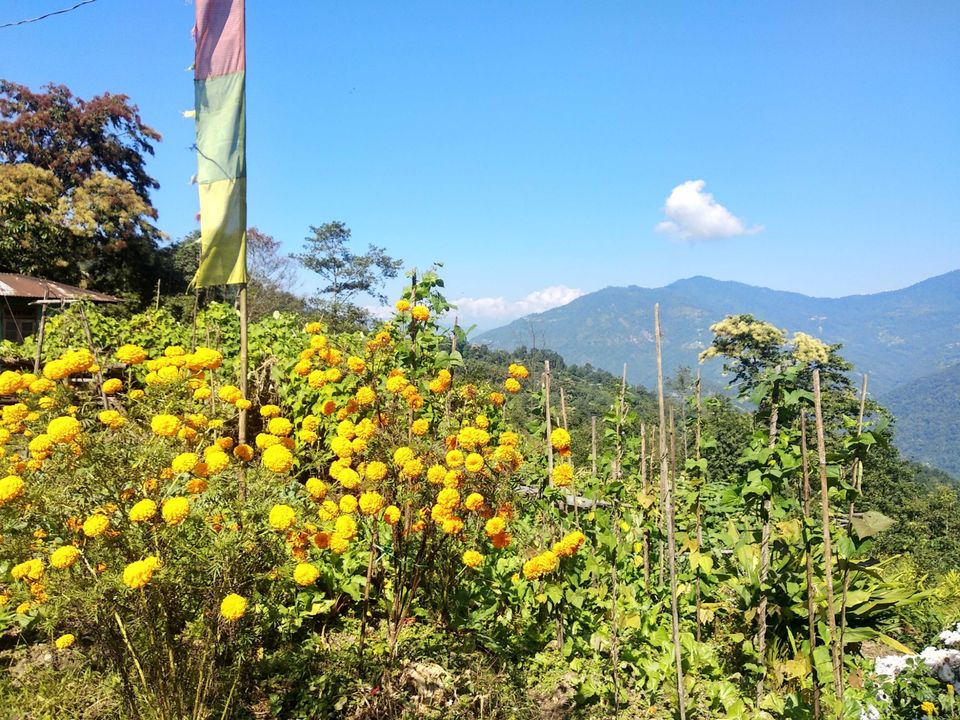 Photo of East Sikkim diaries- Trail of Three Musketeers by Debopriyo Das