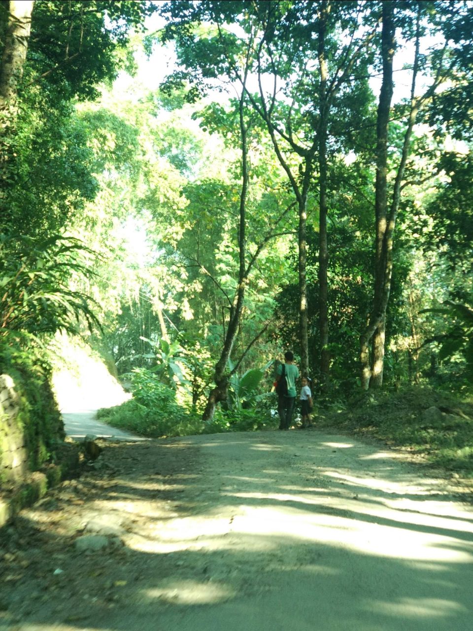 Photo of East Sikkim diaries- Trail of Three Musketeers by Debopriyo Das