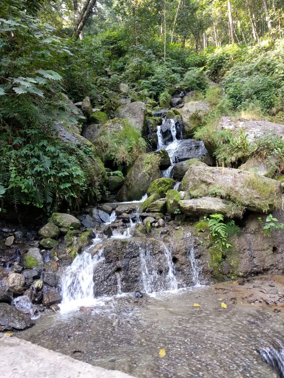 Photo of East Sikkim diaries- Trail of Three Musketeers by Debopriyo Das